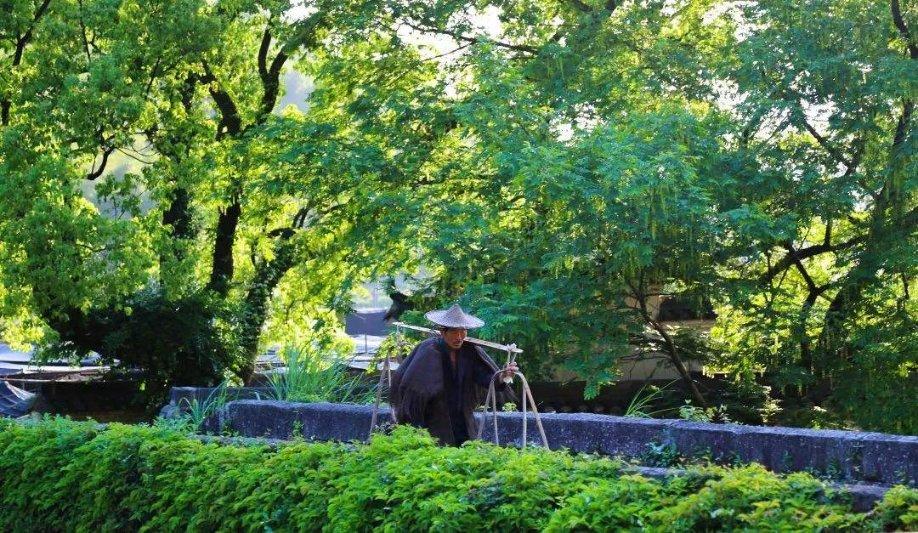 蓝狐视频
